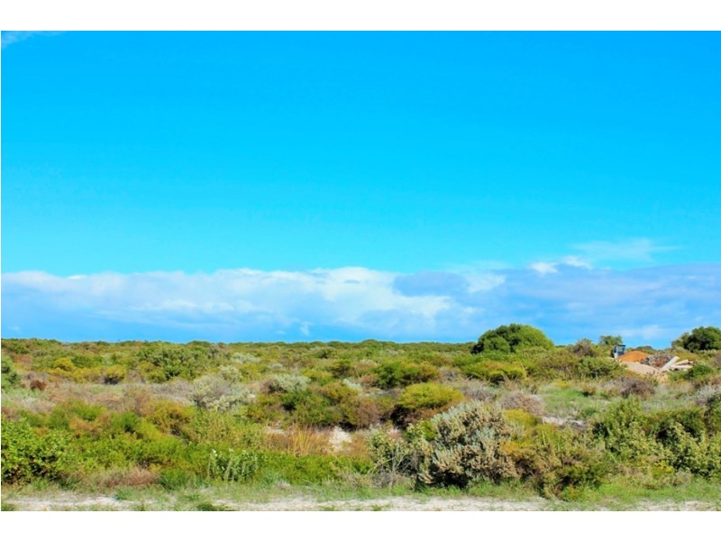39 (LOT 375) EUCALYPT WAY, Jurien Bay WA 6516