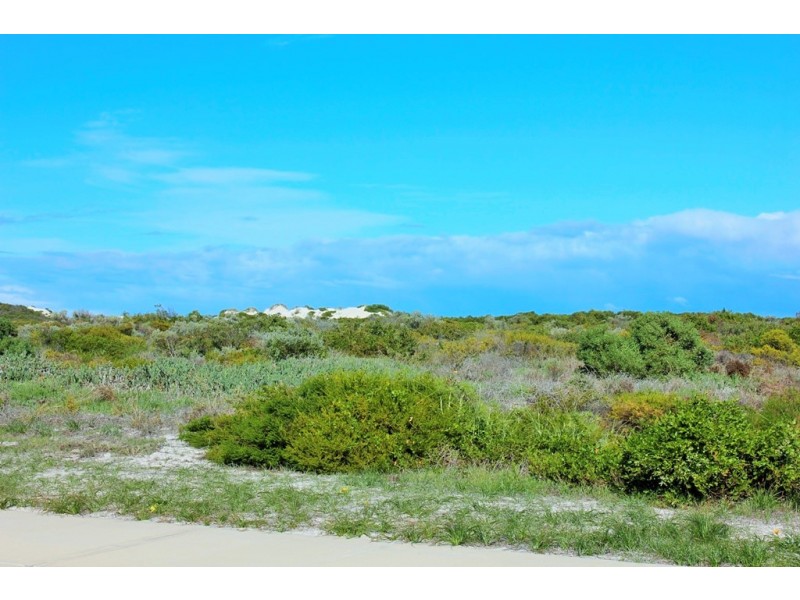 39 (LOT 375) EUCALYPT WAY, Jurien Bay WA 6516