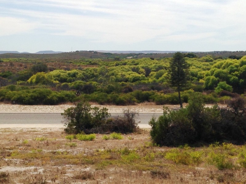 14 (LOT 1092) SEAWARD DRIVE, Jurien Bay WA 6516