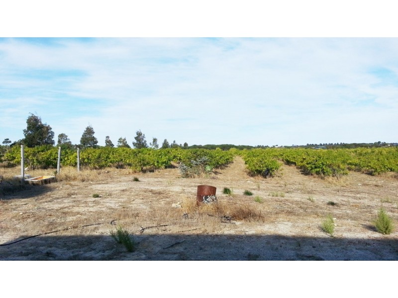 17 (LOT 102) JURIEN BAY VISTA, Jurien Bay WA 6516