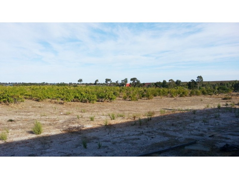17 (LOT 102) JURIEN BAY VISTA, Jurien Bay WA 6516