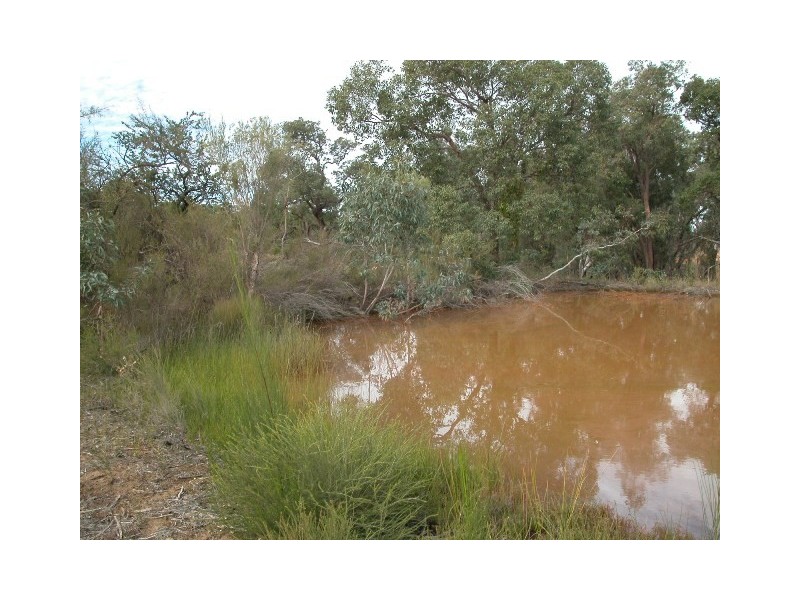 LOT 5 CANTABILLING ROAD, Hill River WA 6521