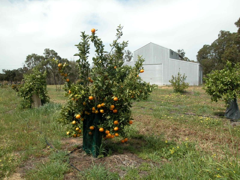 LOT 2 CANTABILLING ROAD, Jurien Bay WA 6516