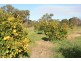 LOT 2 CANTABILLING ROAD, Jurien Bay WA 6516