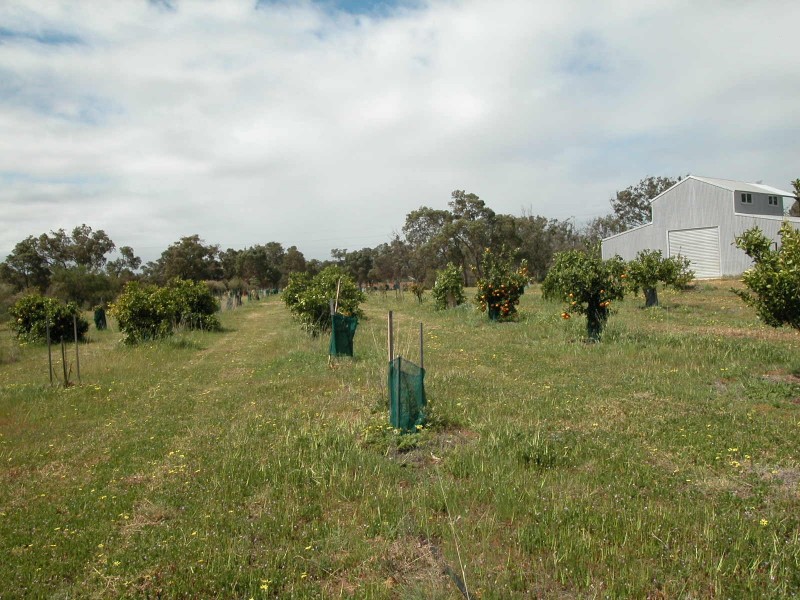 LOT 2 CANTABILLING ROAD, Jurien Bay WA 6516