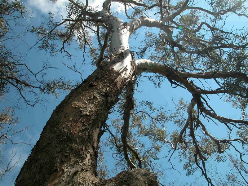 LOT 2 CANTABILLING ROAD, Jurien Bay WA 6516