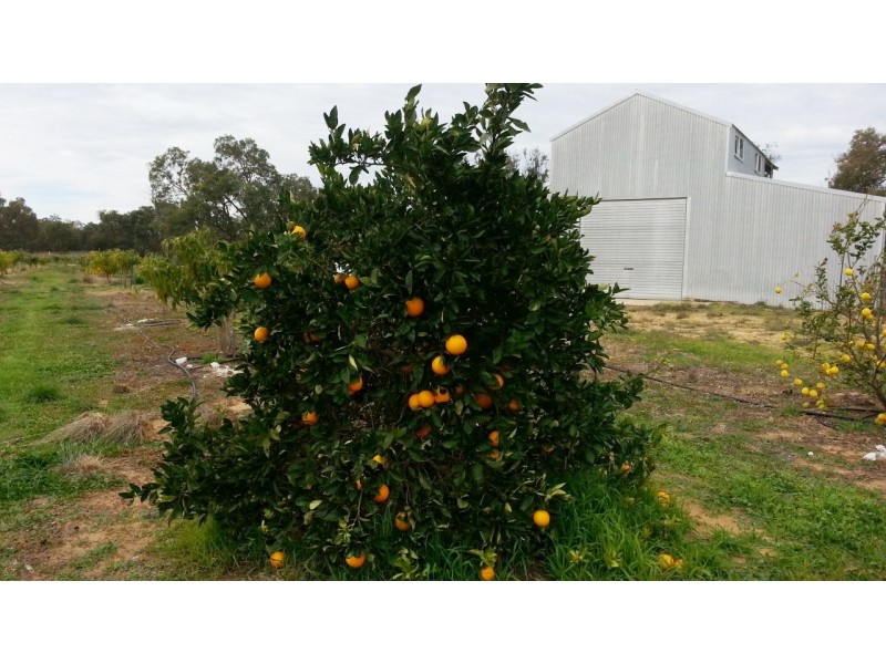 LOT 2 CANTABILLING ROAD, Jurien Bay WA 6516