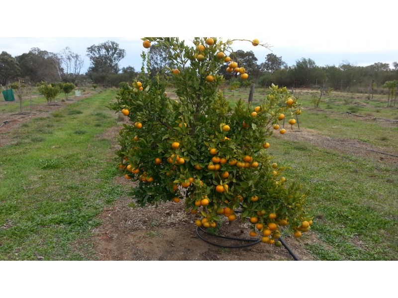 LOT 2 CANTABILLING ROAD, Jurien Bay WA 6516