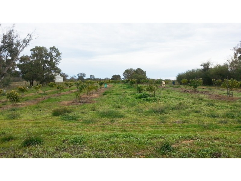 LOT 2 CANTABILLING ROAD, Jurien Bay WA 6516