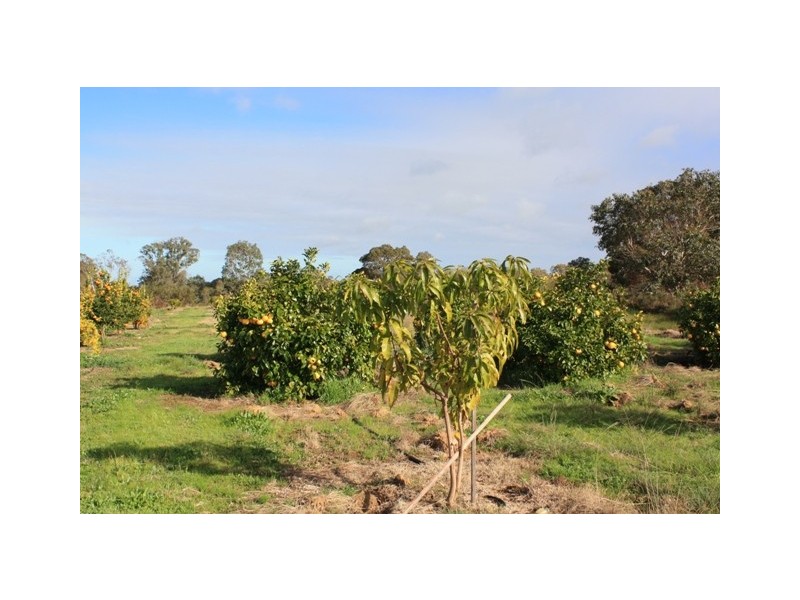 LOT 2 CANTABILLING ROAD, Jurien Bay WA 6516