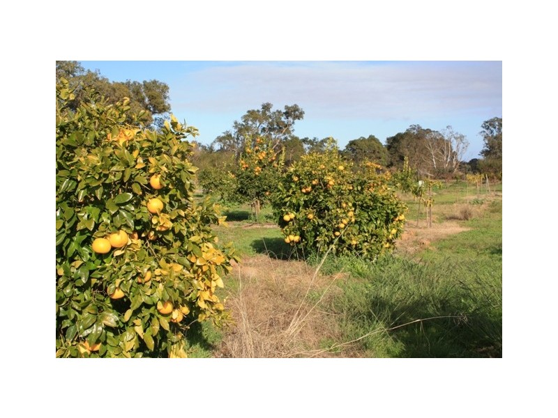 LOT 2 CANTABILLING ROAD, Jurien Bay WA 6516