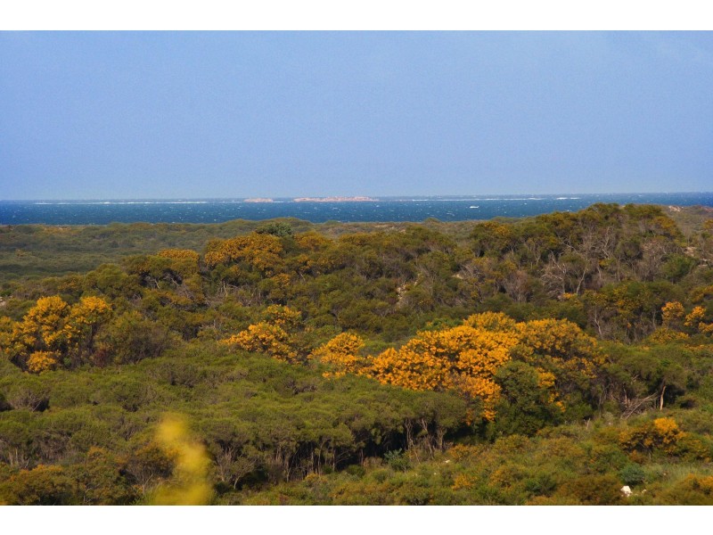 LOT 111 HOMESTEAD LOOP, Jurien Bay WA 6516