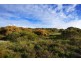LOT 111 HOMESTEAD LOOP, Jurien Bay WA 6516