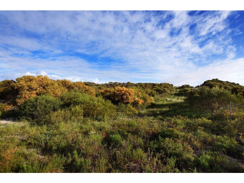 LOT 111 HOMESTEAD LOOP, Jurien Bay WA 6516