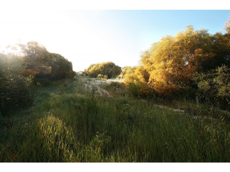 LOT 111 HOMESTEAD LOOP, Jurien Bay WA 6516