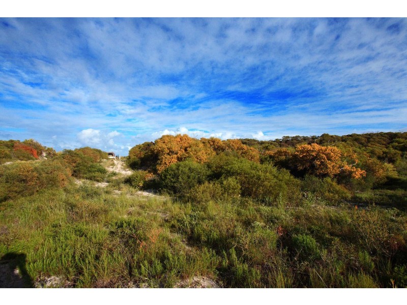 LOT 111 HOMESTEAD LOOP, Jurien Bay WA 6516