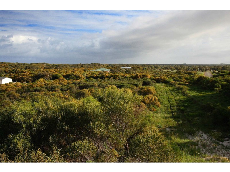 LOT 111 HOMESTEAD LOOP, Jurien Bay WA 6516