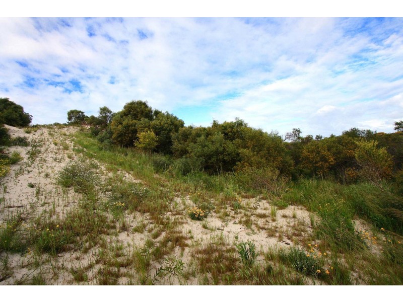 LOT 111 HOMESTEAD LOOP, Jurien Bay WA 6516