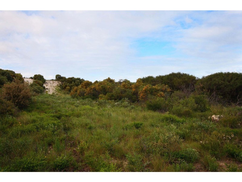 LOT 111 HOMESTEAD LOOP, Jurien Bay WA 6516