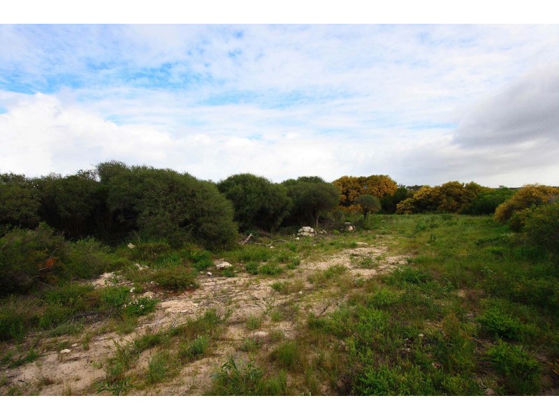 LOT 111 HOMESTEAD LOOP, Jurien Bay WA 6516