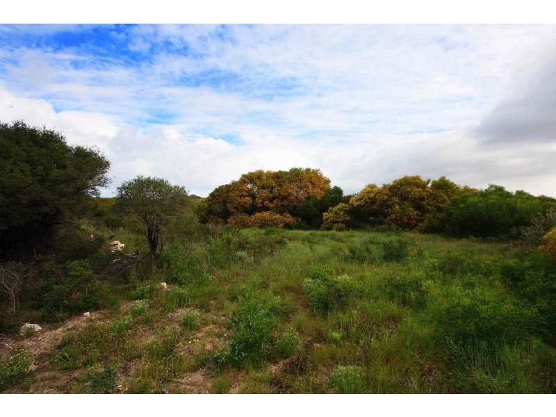 LOT 111 HOMESTEAD LOOP, Jurien Bay WA 6516