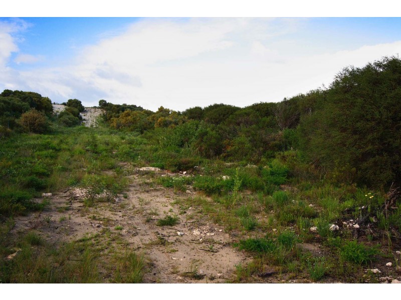 LOT 111 HOMESTEAD LOOP, Jurien Bay WA 6516