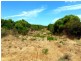 LOT 111 HOMESTEAD LOOP, Jurien Bay WA 6516
