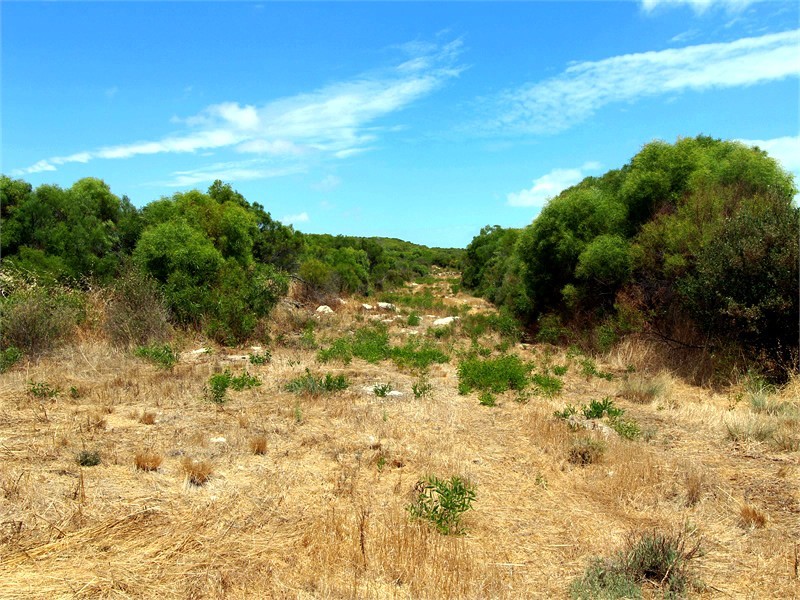 LOT 111 HOMESTEAD LOOP, Jurien Bay WA 6516