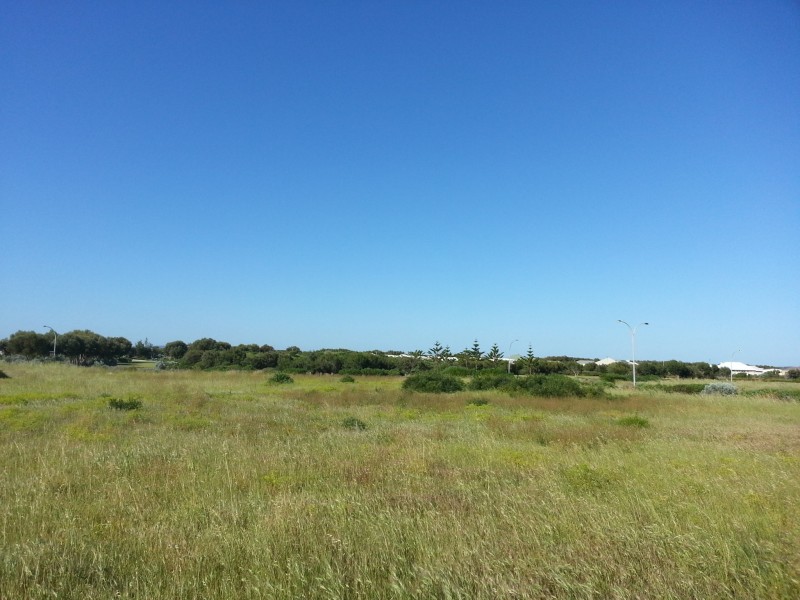 LOT 808 SWIFT WAY, Jurien Bay WA 6516