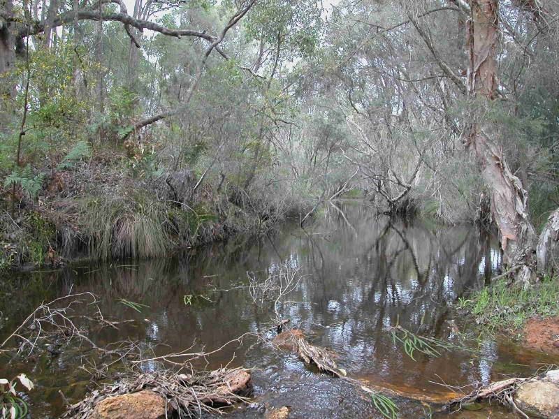 LOT 31 RIVER LOOP, Jurien Bay WA 6516