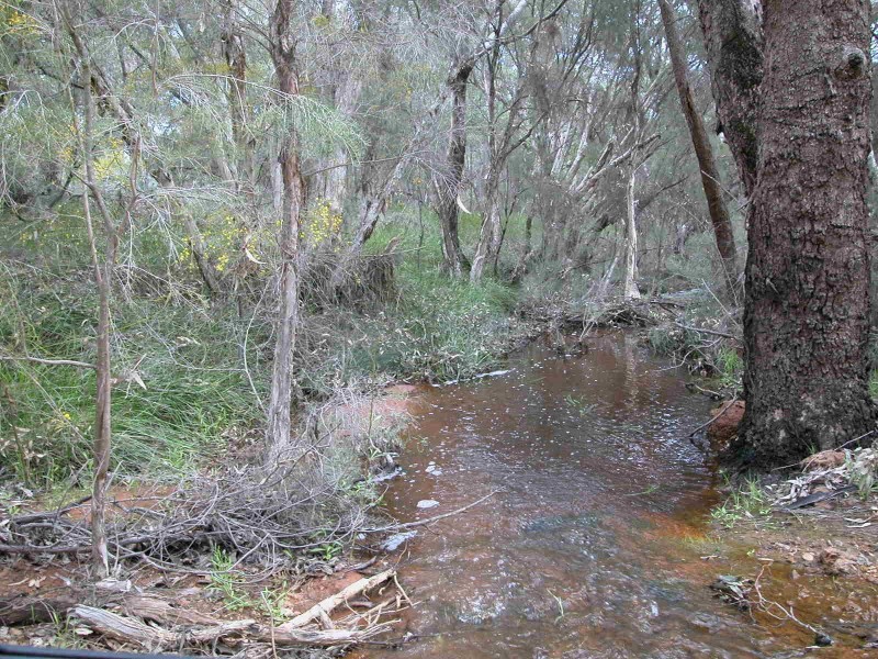 LOT 31 RIVER LOOP, Jurien Bay WA 6516