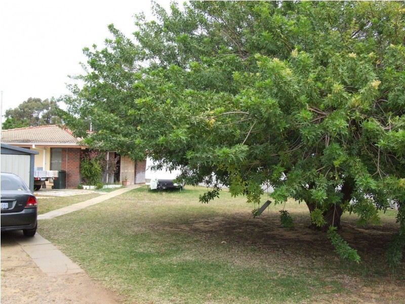 6 BELL COURT, Leeman WA 6514