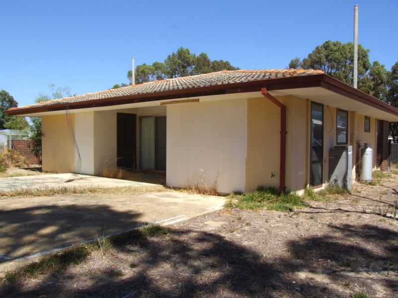 14 MORRISON PLACE, Leeman WA 6514