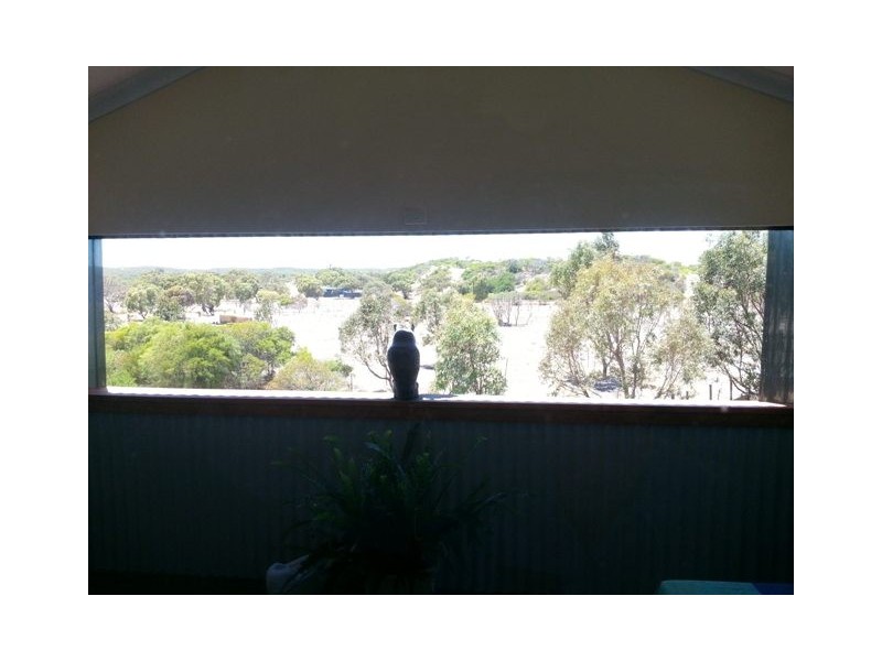 LOT 119 HOMESTEAD LOOP, Jurien Bay WA 6516