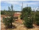 LOT 125 JURIEN BAY VISTA, Jurien Bay WA 6516