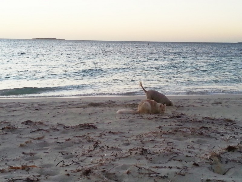 11 (LOT 32) HEATON STREET, Jurien Bay WA 6516