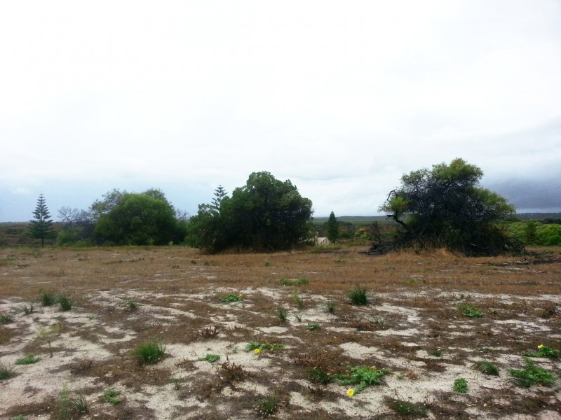 10 (L1103) TERN WAY, Jurien Bay WA 6516