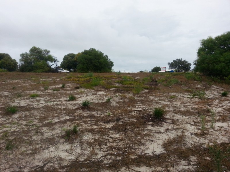 10 (L1103) TERN WAY, Jurien Bay WA 6516