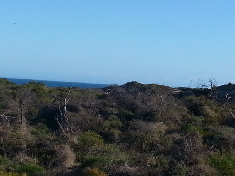 121 (L1032) BEACHRIDGE DRIVE, Jurien Bay WA 6516