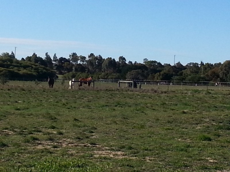 LOT 119 CANOVER ROAD, Jurien Bay WA 6516