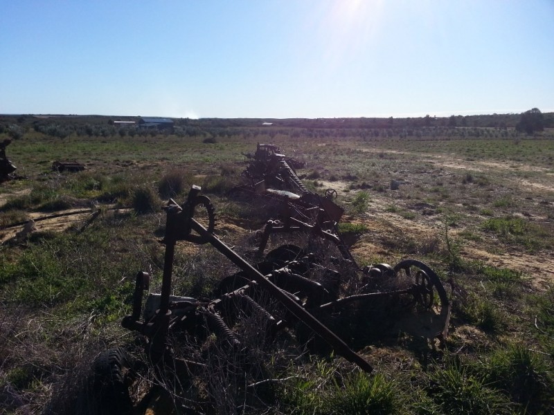 LOT 119 CANOVER ROAD, Jurien Bay WA 6516