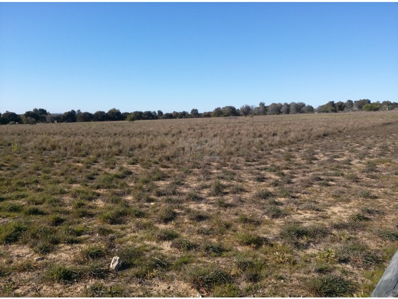 123 (Lot 111) OCEAN VIEW PARADE, Jurien Bay WA 6516