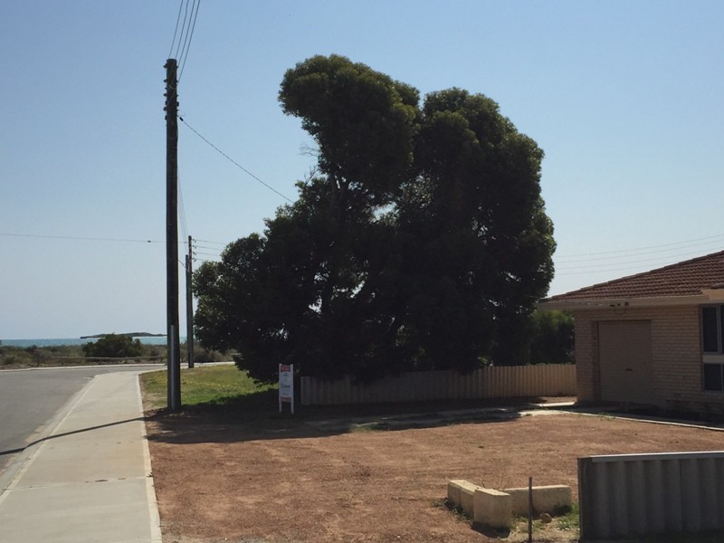 42 DALTON STREET, Jurien Bay WA 6516