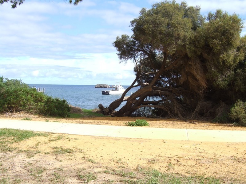 98 THOMAS STREET, Leeman WA 6514