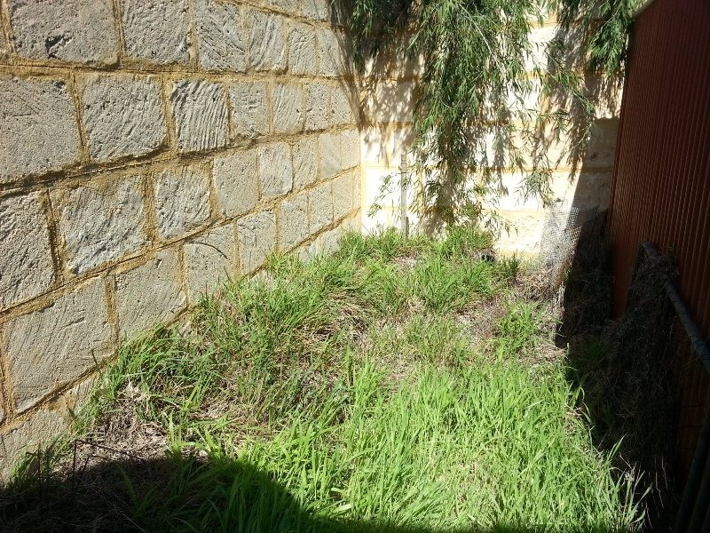 98 THOMAS STREET, Leeman WA 6514