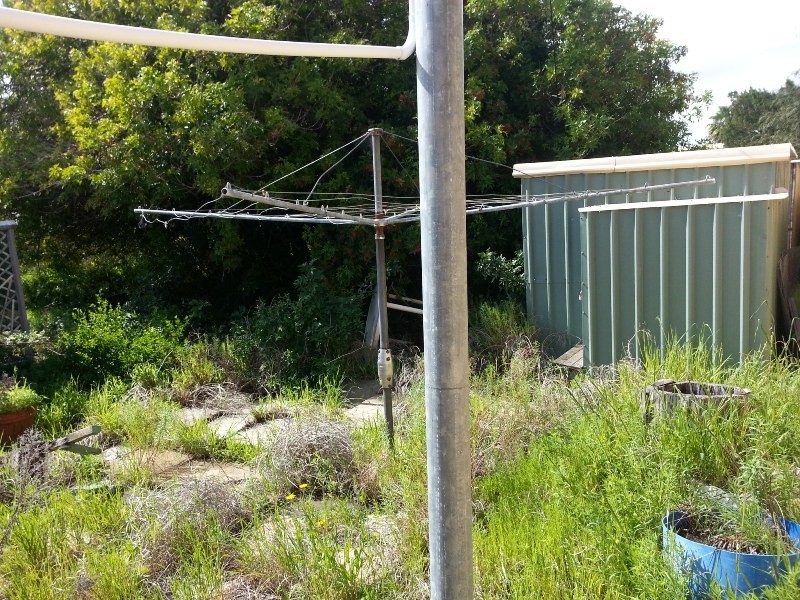 98 THOMAS STREET, Leeman WA 6514