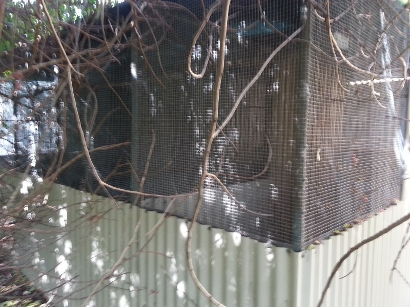 98 THOMAS STREET, Leeman WA 6514