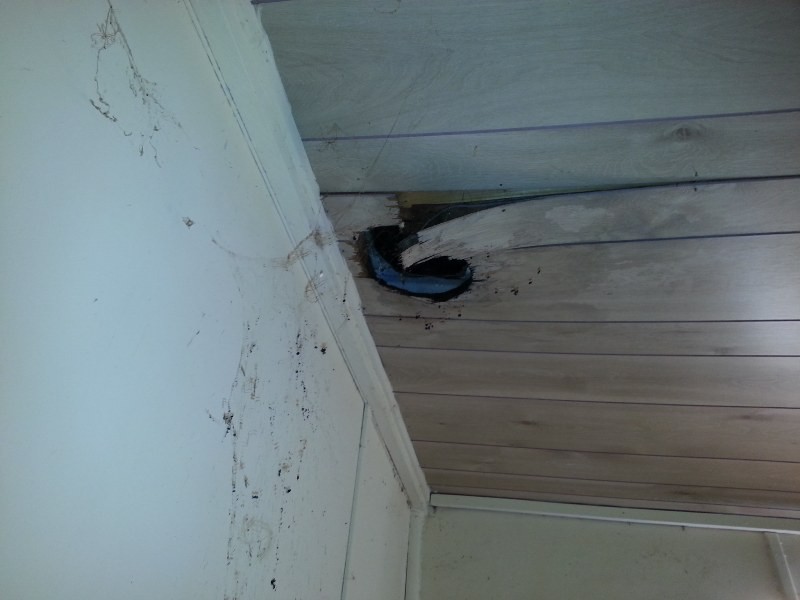 98 THOMAS STREET, Leeman WA 6514