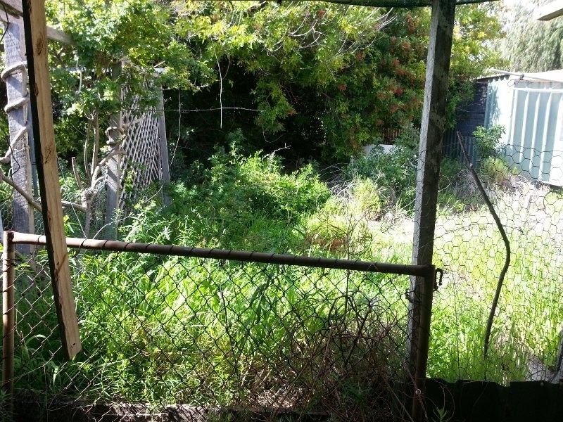 98 THOMAS STREET, Leeman WA 6514