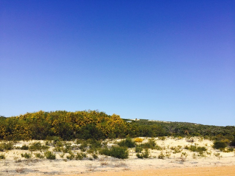 Lot 179 Jurien Bay Vista, Jurien Bay WA 6516